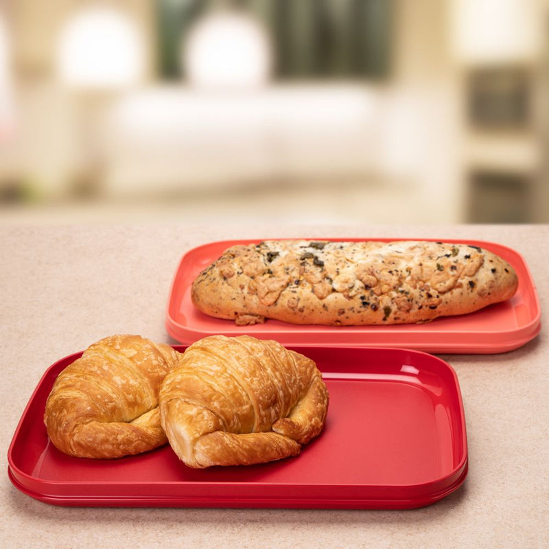 Serving Picnic Plates 2pc