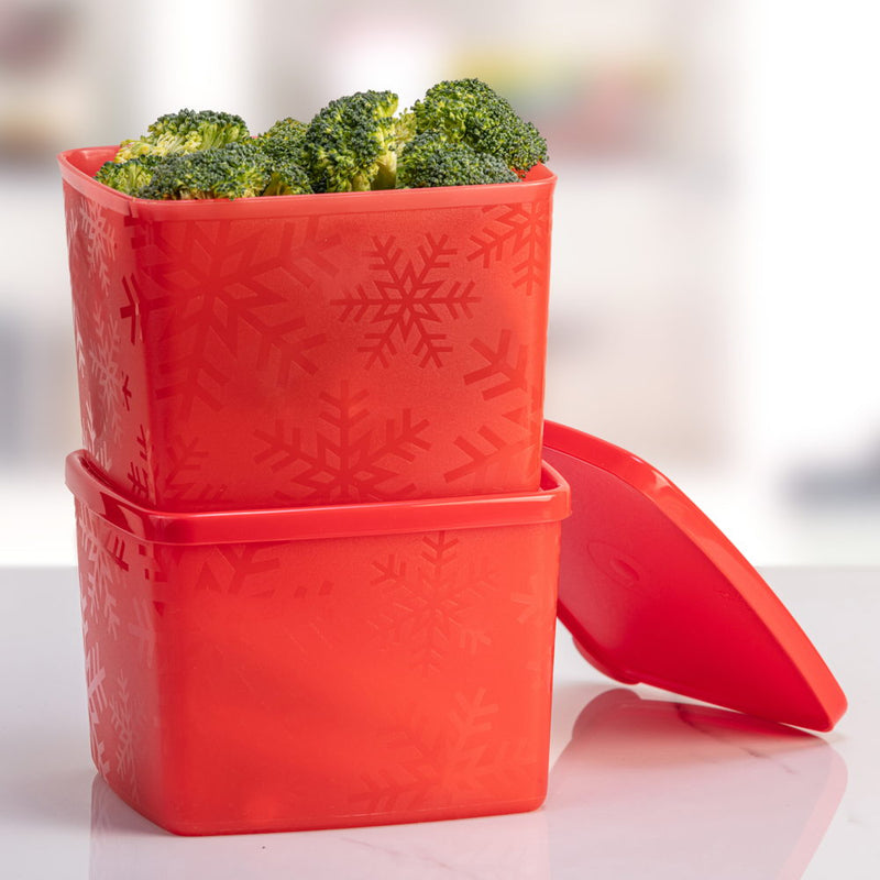 Square Refrigerator Container Cool N Fresh 800ml 2pc