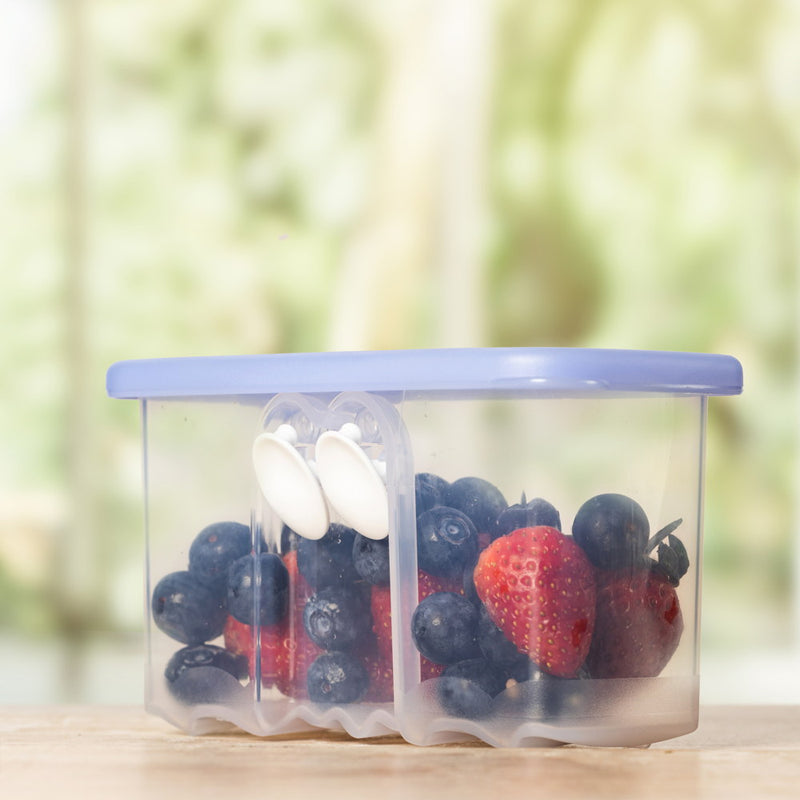 Whole Fruits and Vegetable Storer Fridgesmart Mini 350ml 1pc