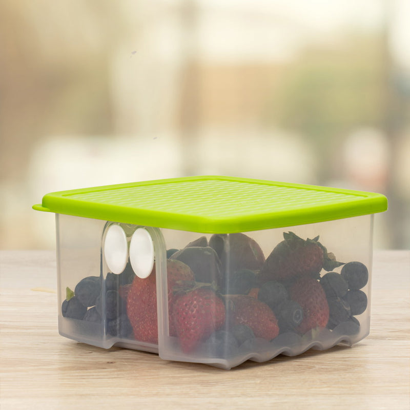 Whole Fruits and Vegetable Storer Fridgesmart 1l 1pc