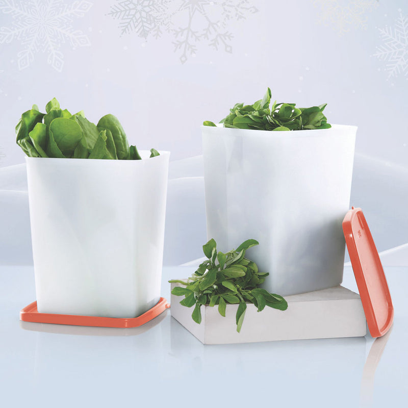 Cut Fruits Vegetables Keeper Cool n Fresh 1435 ml 2pc