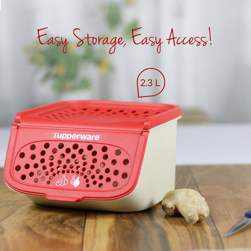 Potato, Onion, Garlic Container Mini Access Mate 2.3L