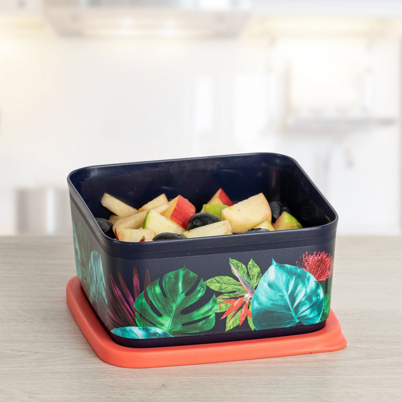 Square Fruits Vegetables Storer Refrigerator Container Cubix Mahalo 650ml