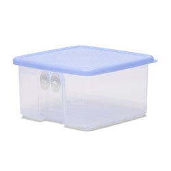 Tupperware Whole Fruits and Vegetable Storer Fridgesmart 1l 1pc