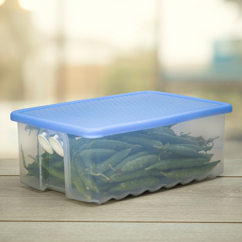 Whole Fruits and Vegetable Storer Fridgesmart 1.6ltr
