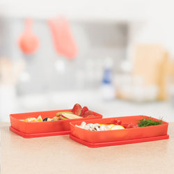 Cut Fruits Vegetables Refrigerator Storer Cool n Fresh Flat 600ml 2pc