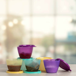 Liquid Tight Container Bowled Over 400ml 6pc
