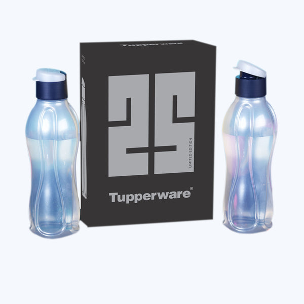 ECO 750ML BOTTLE SF2-SILVER