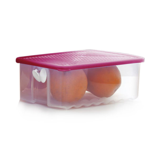 TUPPERWARE FRIDGESMART MEDIUM