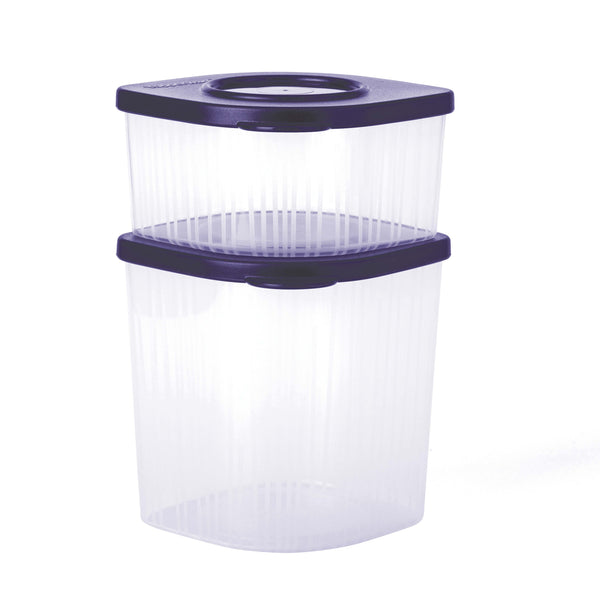 Stack Fresh Container (Set of 2)