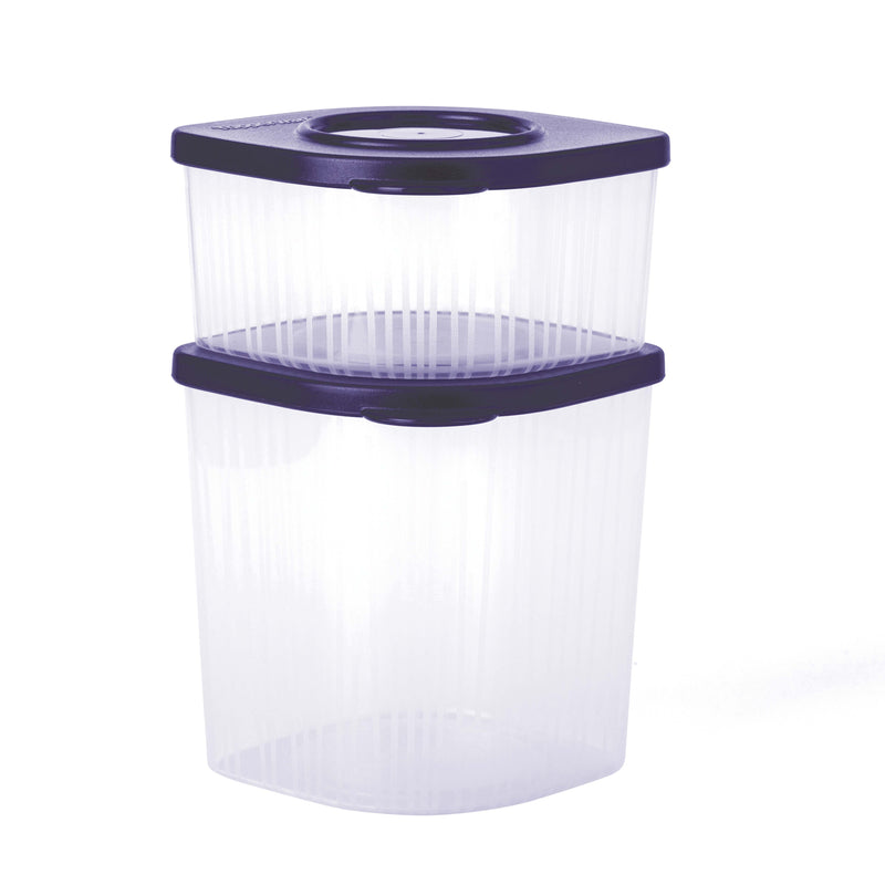 Stack Fresh Container (Set of 2)