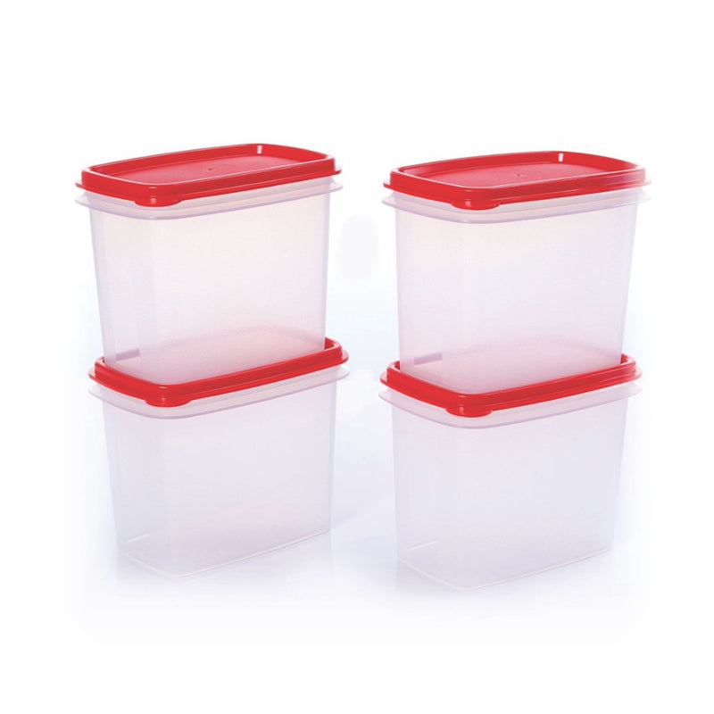 WITHIN REACH CANISTER Set of 4  (1.1L)