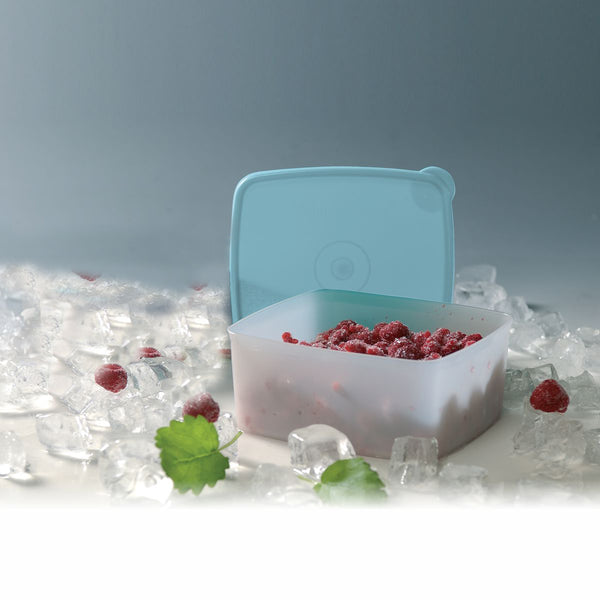 COOL N FRESH SMALL Set of 1