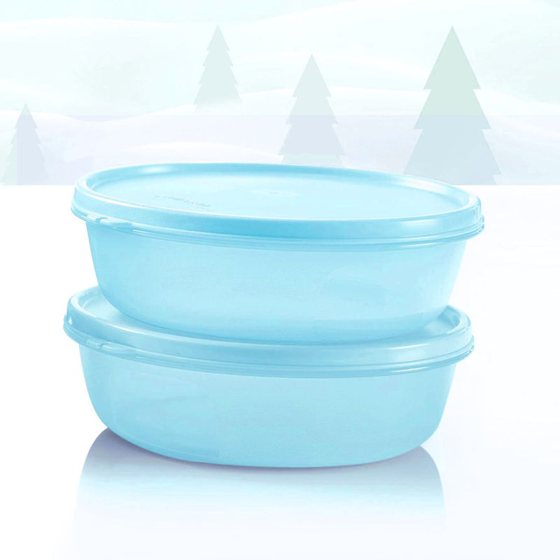 TUPPERWARE SS BOWL 1L, (SET OF 2)