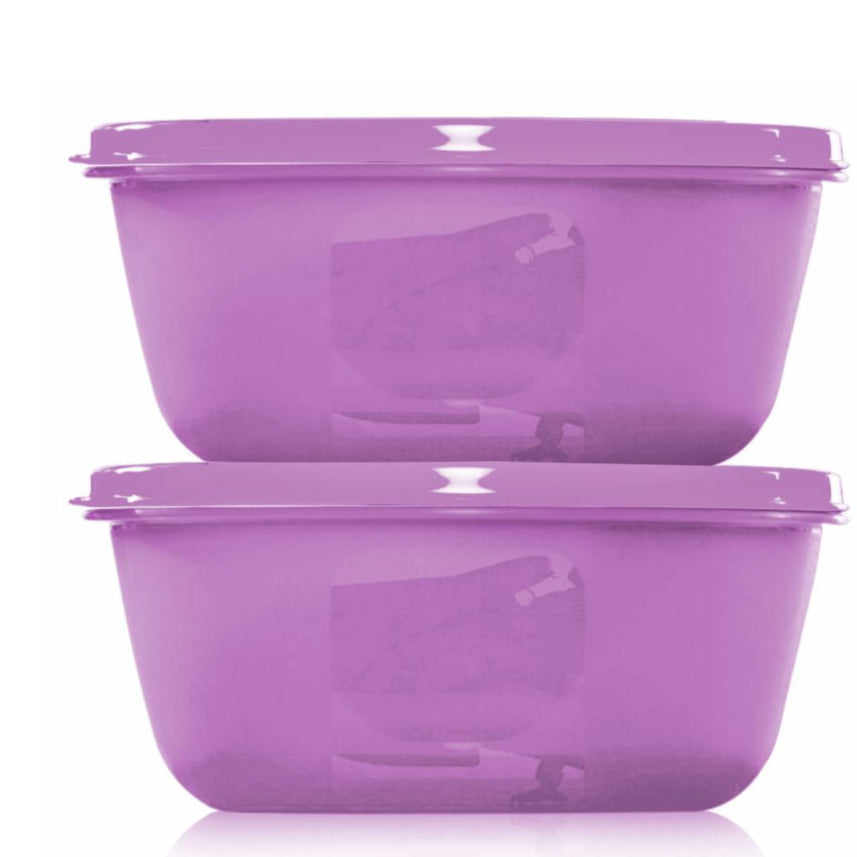 SS BOWL 2LTR (SET OF 2)