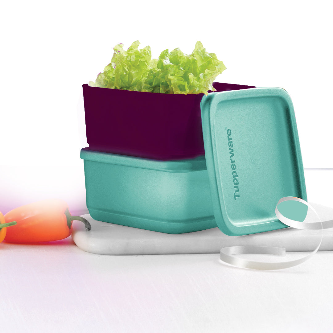 Tupperware Cubix 650ML Set of 2 – Fresh Food Storage – Tupperware