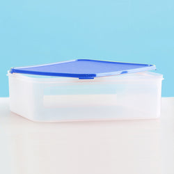 Double Crisper Multipurpose Container 9.4L 1pc Blue