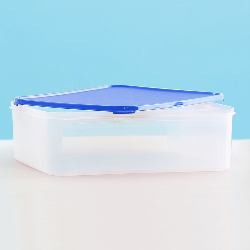 Double Crisper Multipurpose Container 9.4L 1pc Blue