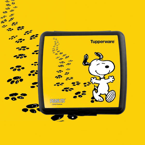 Tupperware Sandwich keeper Peanuts 1pc