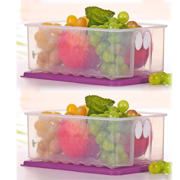 TUPPERWARE FRIDGESMART MEDIUM Set of 2