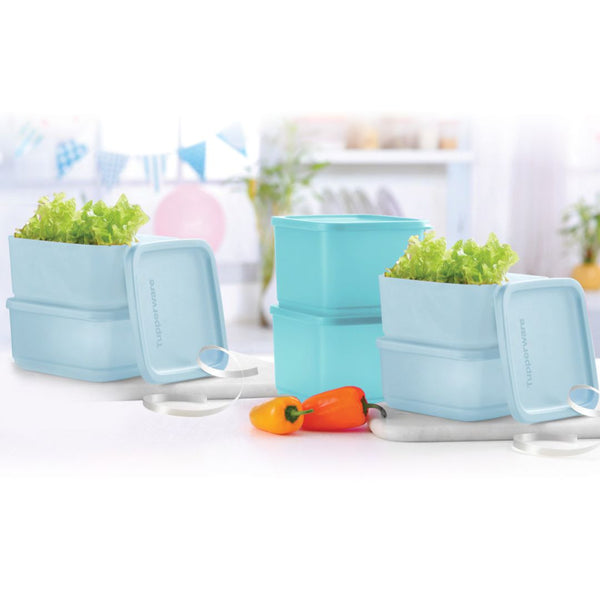 CUBIX 1L (2 pcs) + CUBIX 650ML (4 pcs)