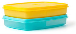 SLIM DIVIDED CONTAINER (set of 2)