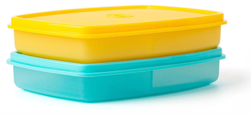SLIM DIVIDED CONTAINER (set of 2)